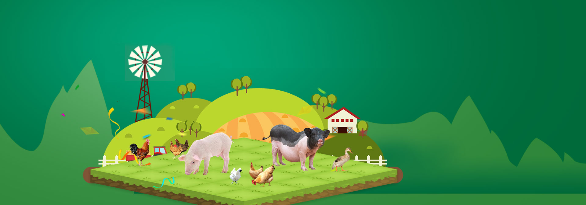 今年会养殖成本更低、更赢利，，，，，做高性价比饲料辅导者